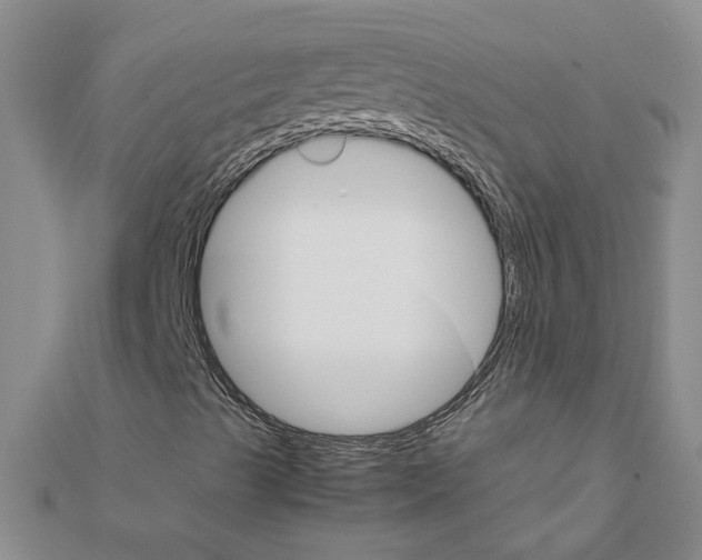 X0000111681489200908141439