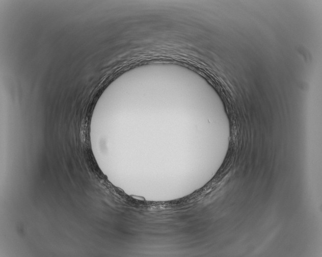 X0000111681490200908141439