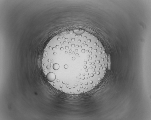 X0000111681491200908141439