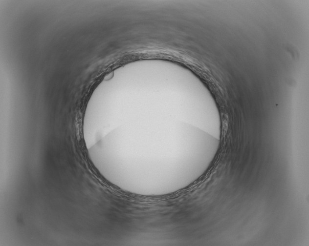 X0000111681493200908141439