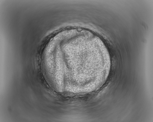 X0000111681494200908141439