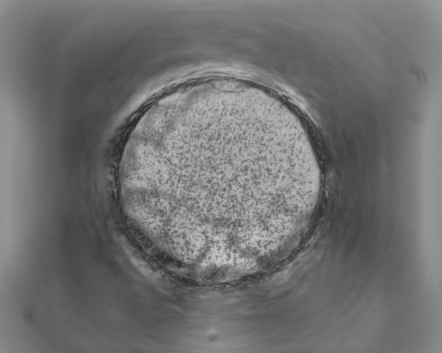 X0000111681496200908141439