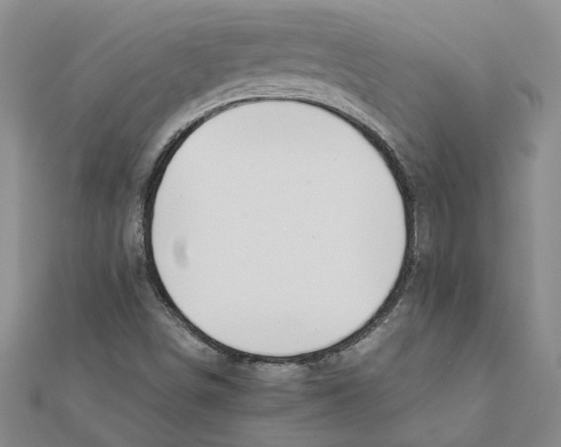 X0000111681498200908141439