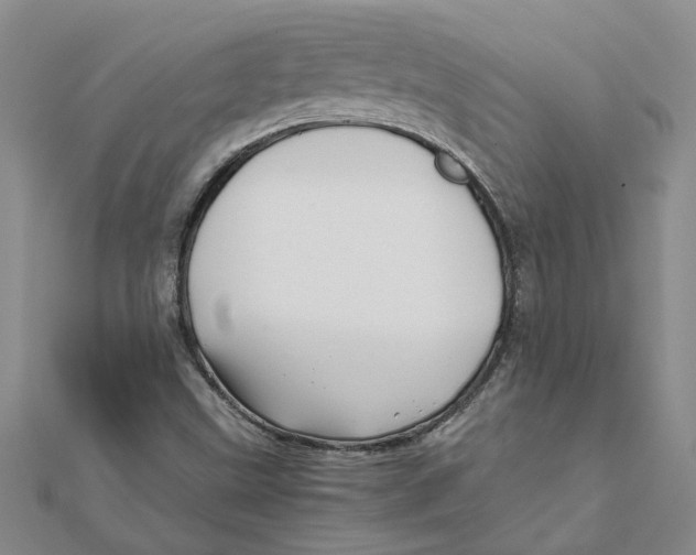 X0000111681499200908141439