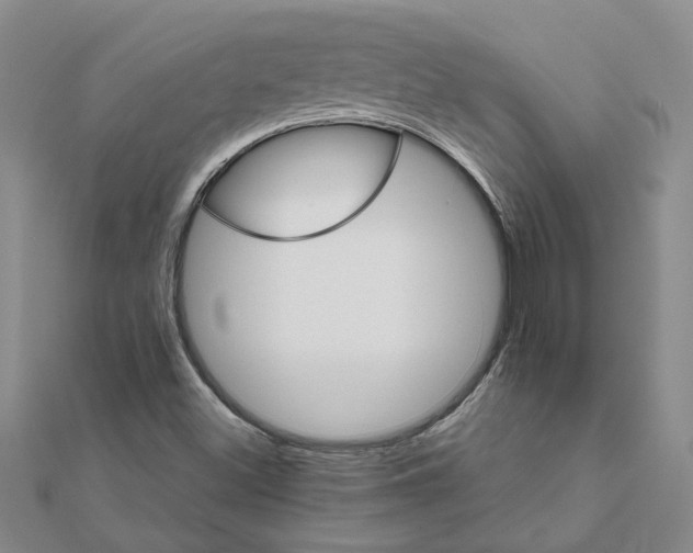 X0000111681500200908141439