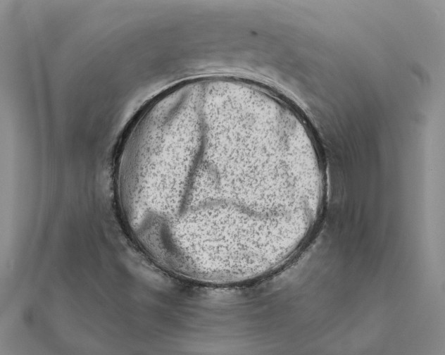 X0000111681501200908141439