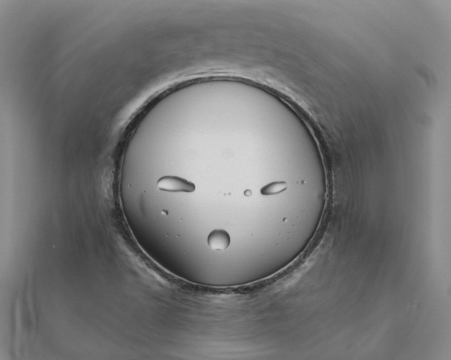 X0000111681502200908141439