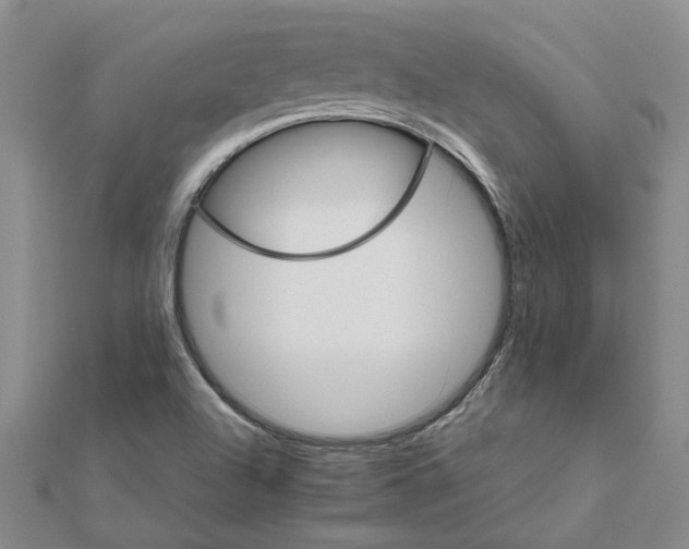 X0000111681504200908141439