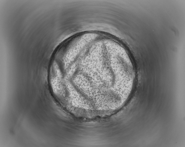 X0000111681505200908141439