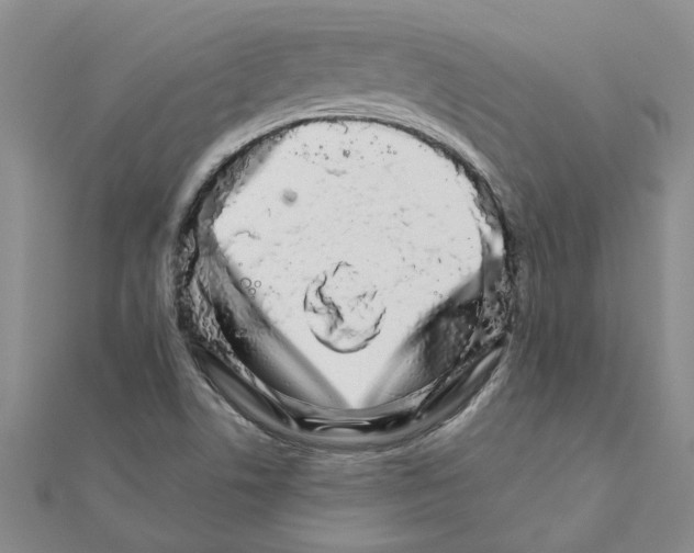 X0000111681506200908141439