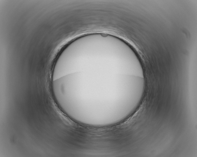 X0000111681507200908141439