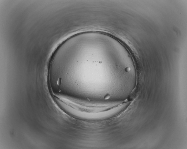 X0000111681508200908141439