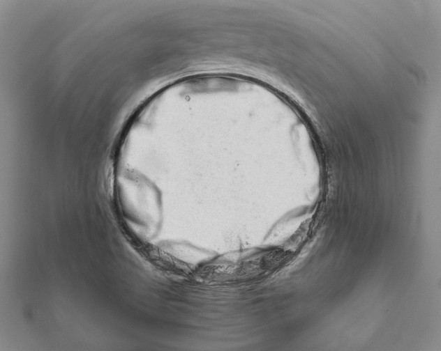 X0000111681509200908141439