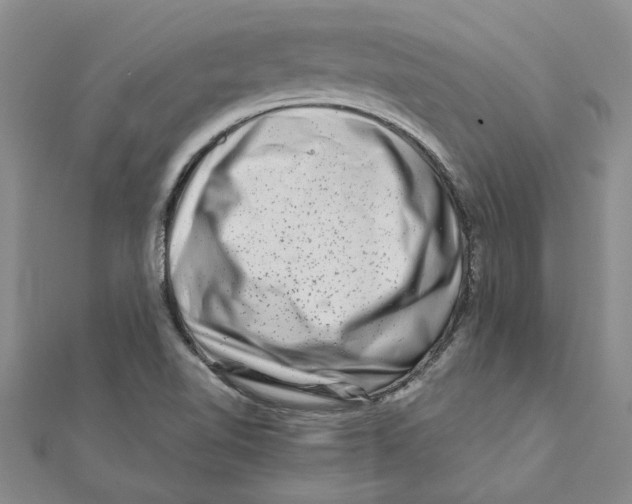 X0000111681510200908141439