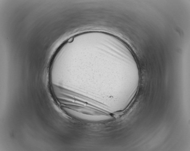 X0000111681511200908141439