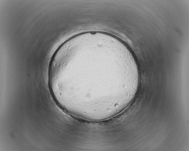 X0000111681512200908141439