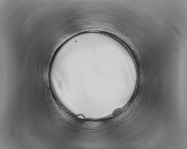 X0000111681513200908141439