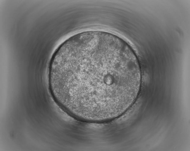 X0000111681514200908141439