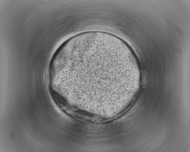 X0000111681515200908141439