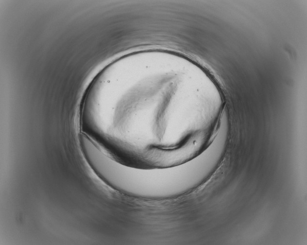 X0000111681516200908141439