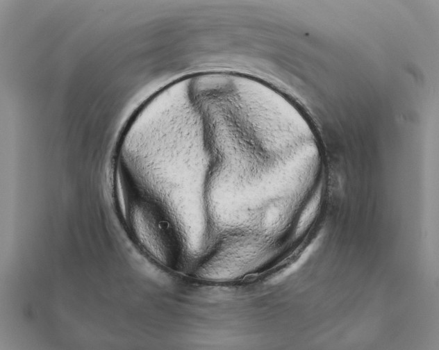 X0000111681517200908141439