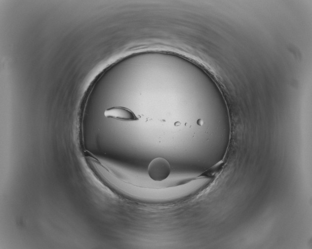 X0000111681518200908141439