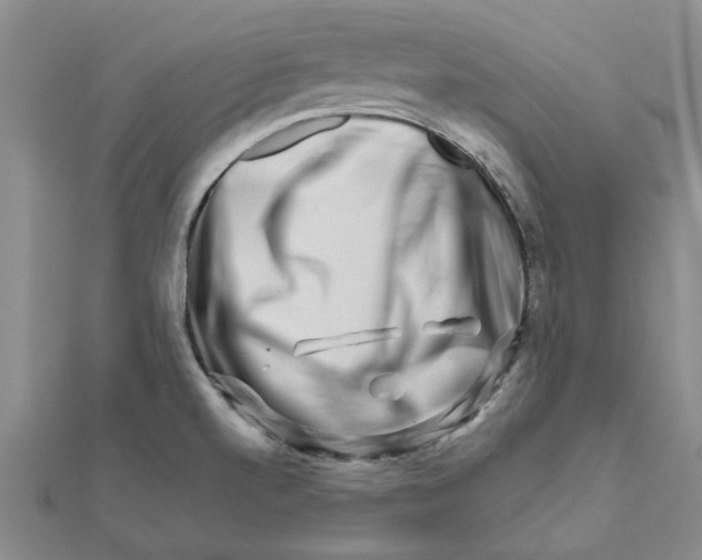 X0000111681520200908141439