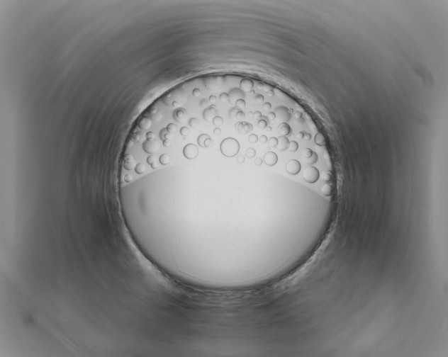 X0000111681521200908141439