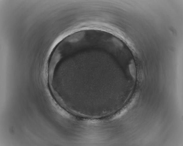 X0000111681522200908141439