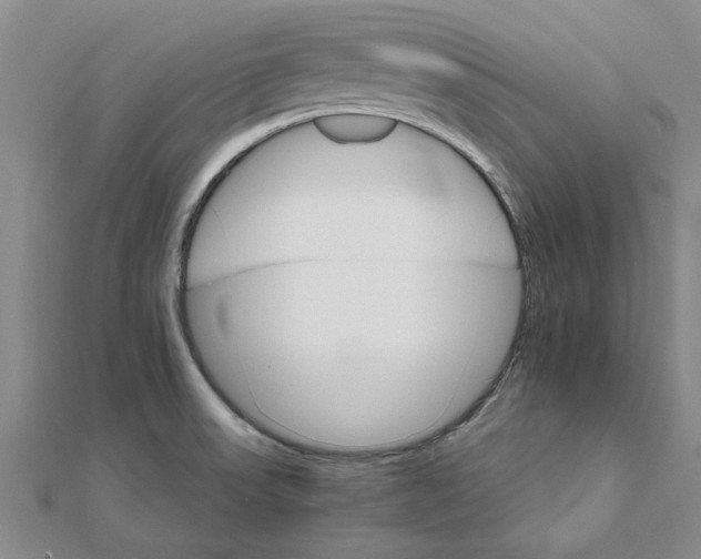 X0000111681523200908141439