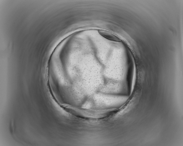 X0000111681524200908141439