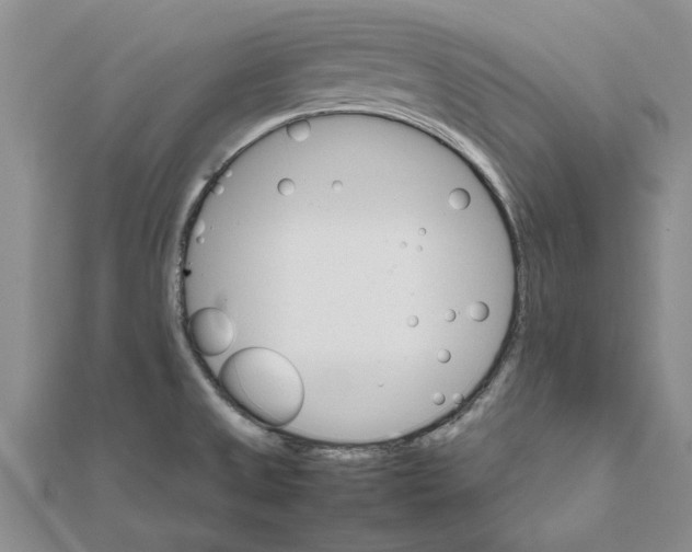 X0000111681525200908141439