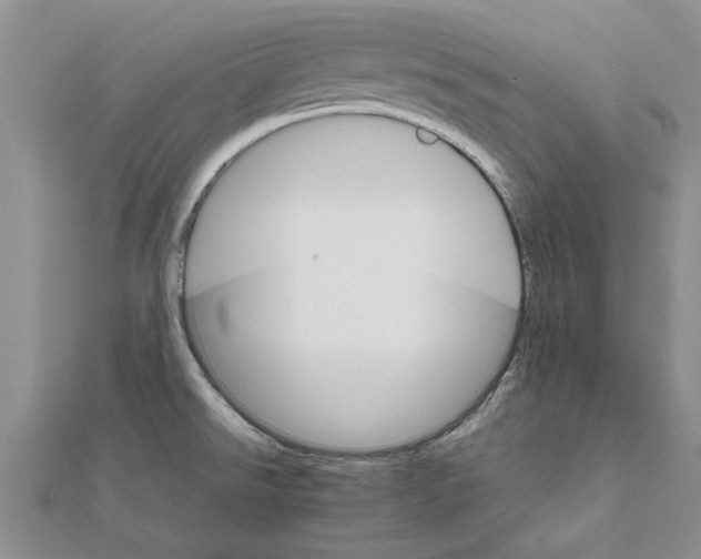 X0000111681526200908141439