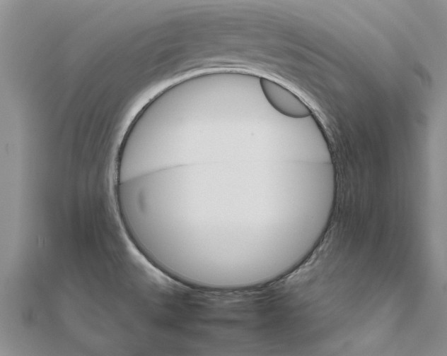 X0000111681527200908141439