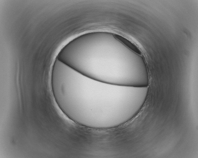 X0000111681528200908141439