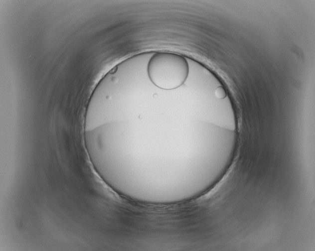 X0000111681529200908141439