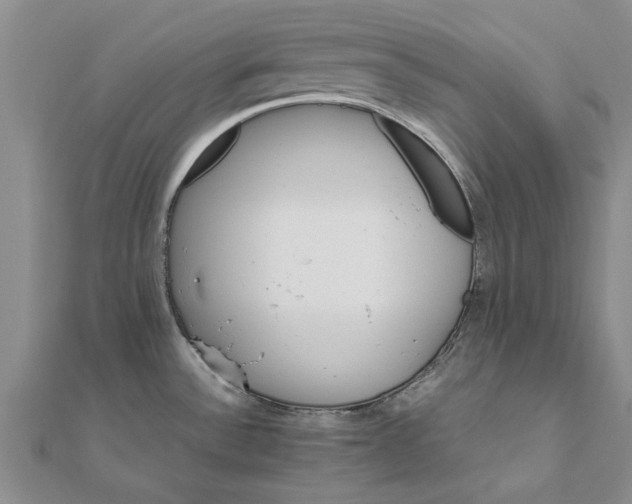 X0000111681532200908141439