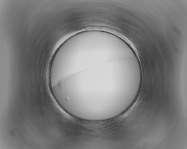 X0000111681533200908141439