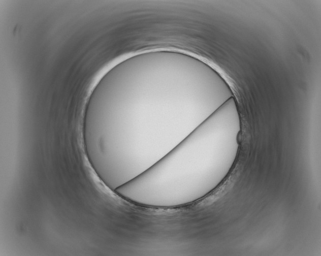 X0000111681534200908141439