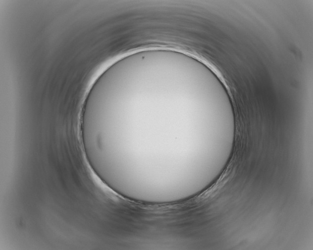 X0000111681535200908141439