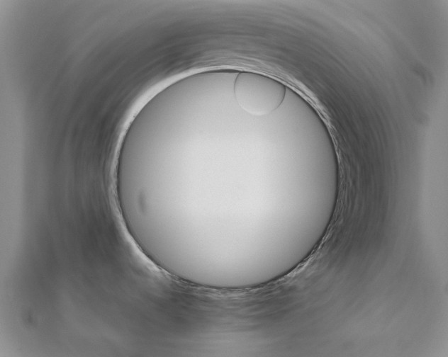 X0000111681536200908141439