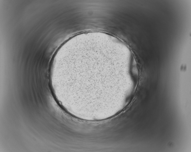 X0000111680002200908281146