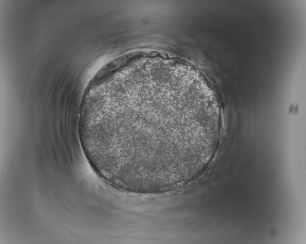 X0000111680003200908281146