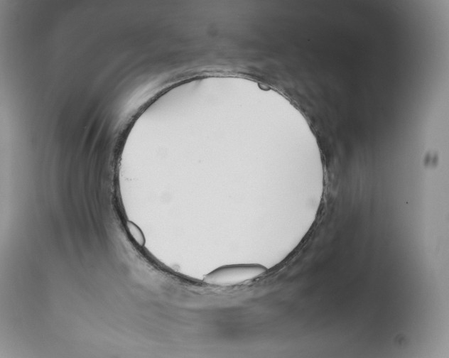 X0000111680005200908281146