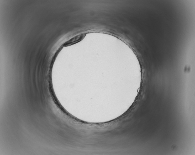 X0000111680007200908281146