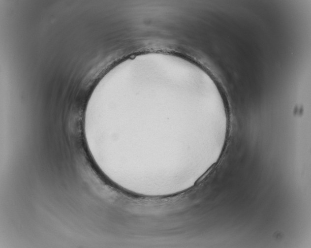 X0000111680009200908281146