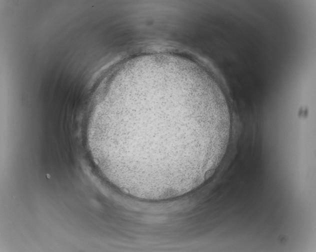 X0000111680010200908281146