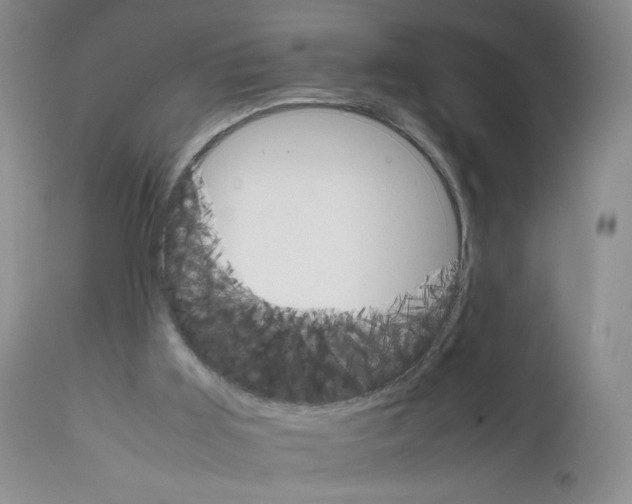 X0000111680011200908281146