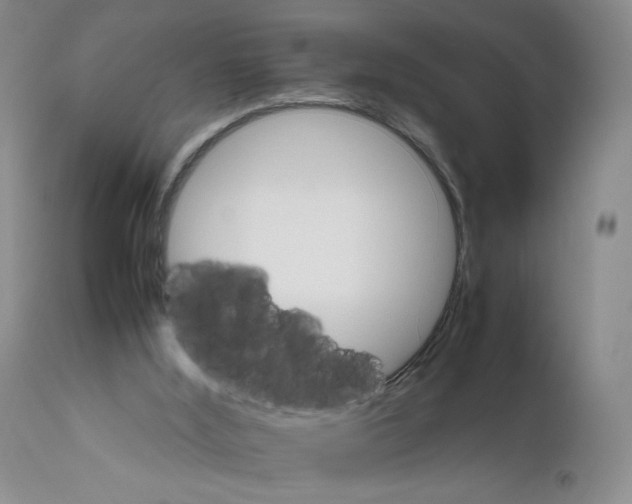 X0000111680012200908281146