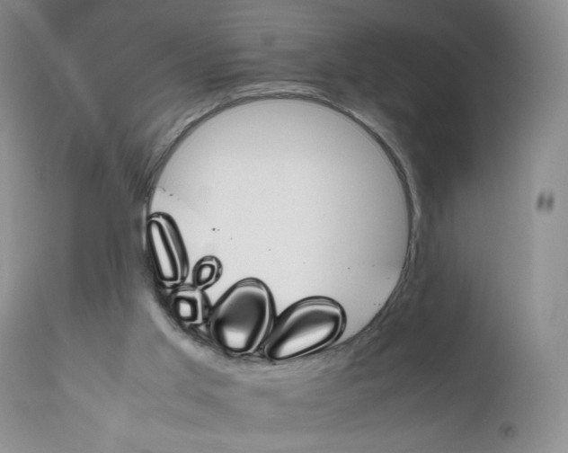 X0000111680013200908281146